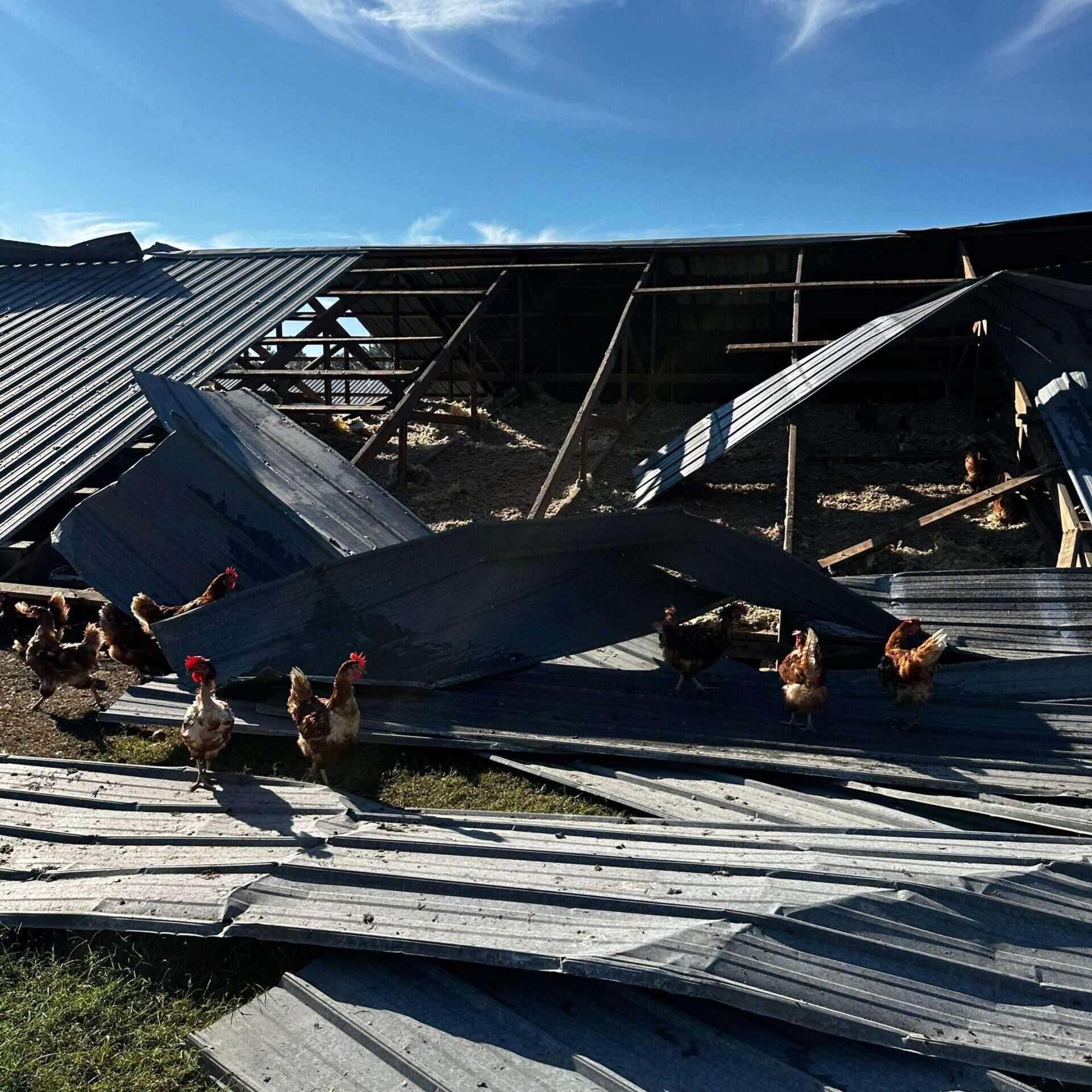 Hurricane Insurance Claim Timeline for Chicken Farm in Georgia