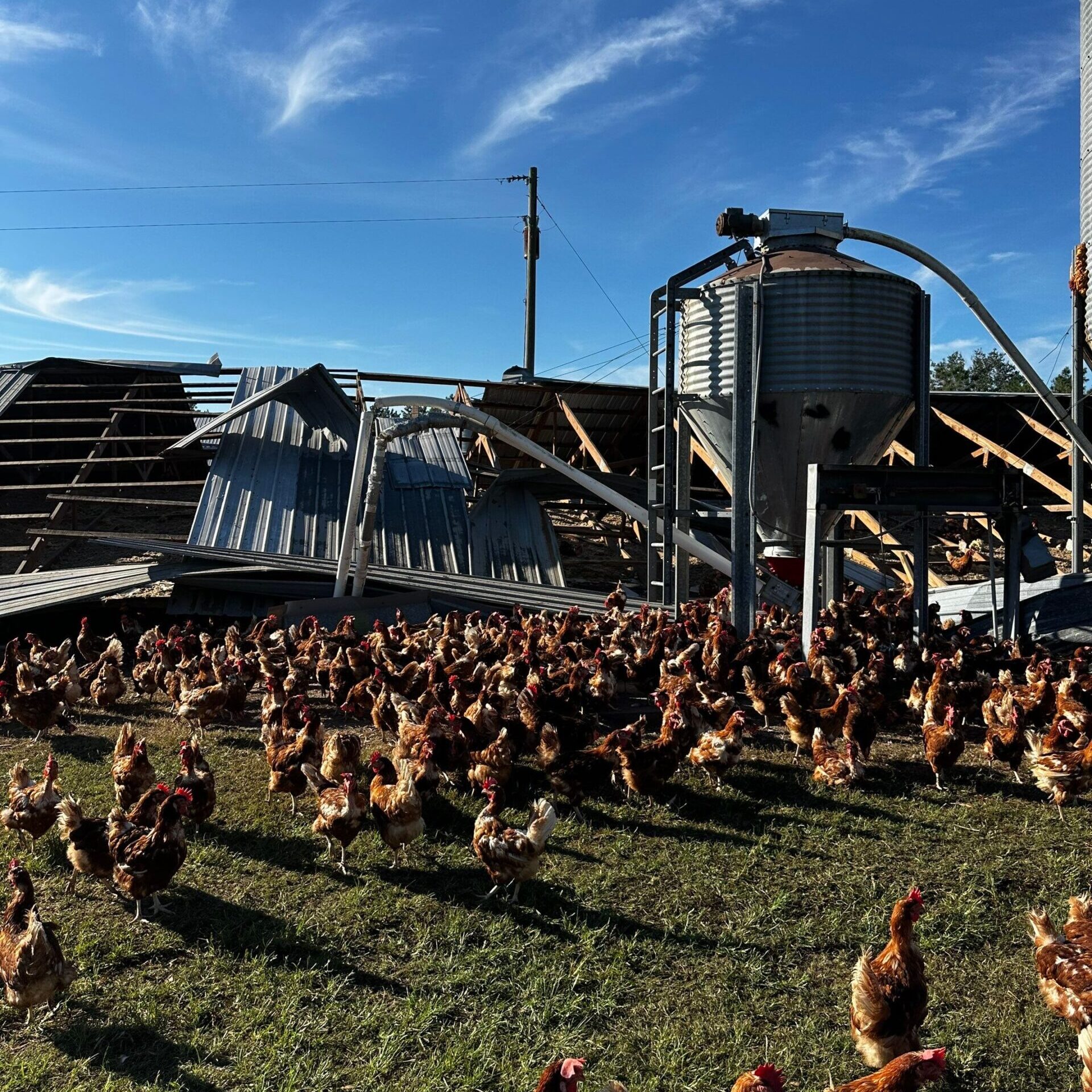 Hurricane Insurance Claim Timeline for Chicken Farm in Georgia